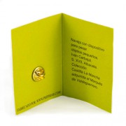 Pin dinamometro texto